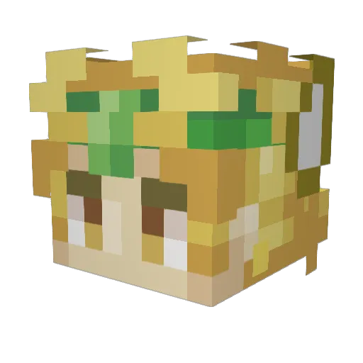 icejunkey69420 Minecraft avatar head, 3D render