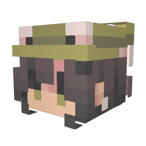 icelycheetea Minecraft avatar head, 3D render