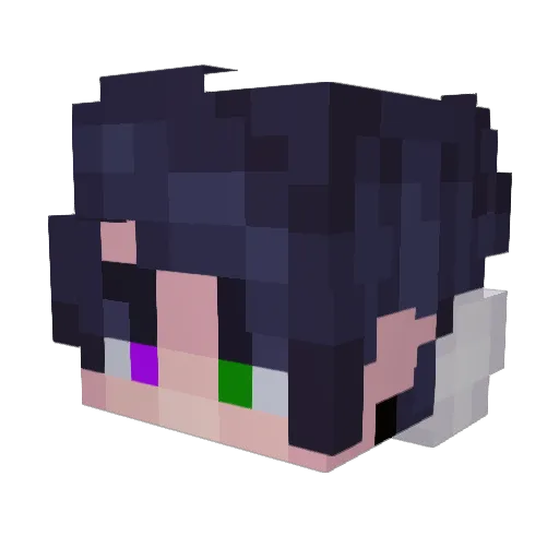 iceninja2023 Minecraft avatar head, 3D render