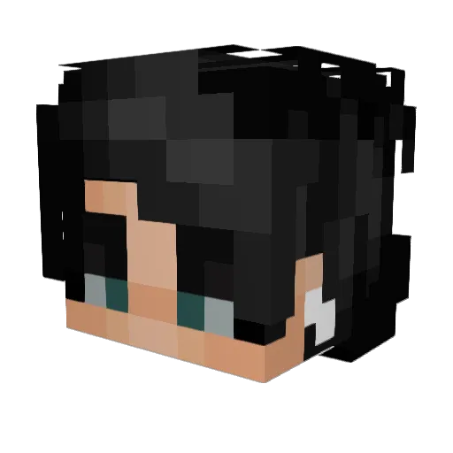 iceninja24 Minecraft avatar head, 3D render
