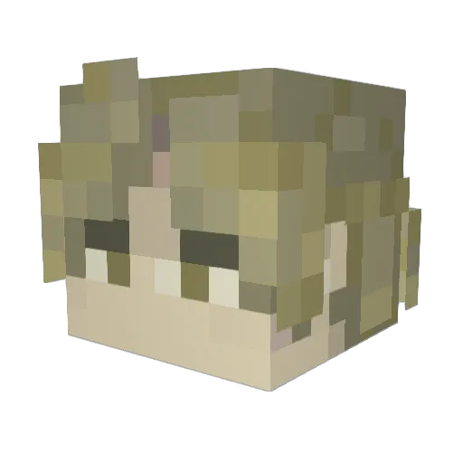 iceower_ Minecraft avatar head, 3D render
