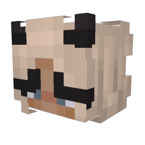 icetee599 Minecraft avatar head, 3D render