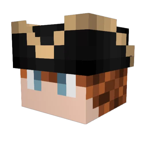 icetemplar Minecraft avatar head, 3D render