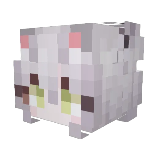 icewine211 Minecraft avatar head, 3D render