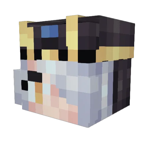 icewolf655 Minecraft avatar head, 3D render