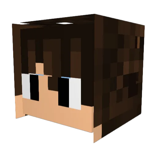 ichbin_deinvater Minecraft avatar head, 3D render