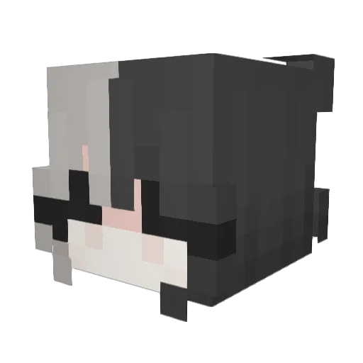 icicles22x Minecraft avatar head, 3D render