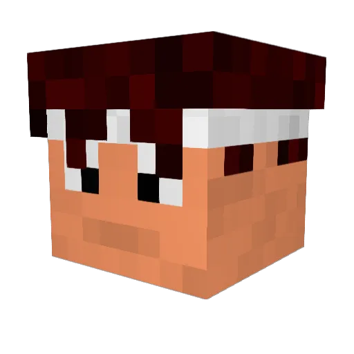 icollectsponges Minecraft avatar head, 3D render