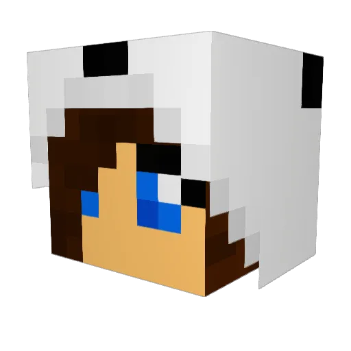 iconiac0226 Minecraft avatar head, 3D render