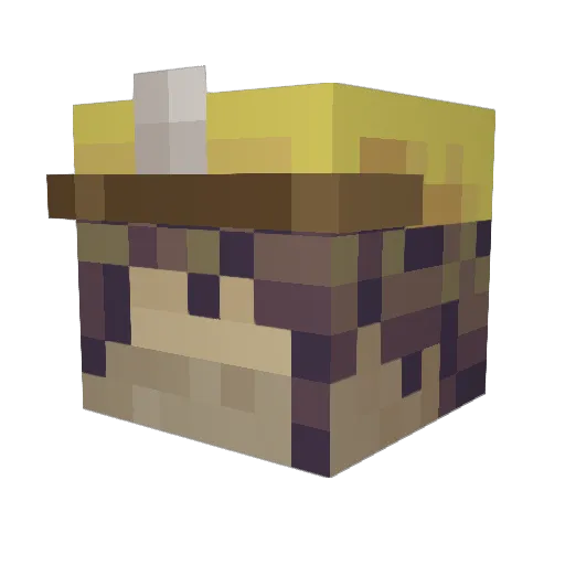 icosatown Minecraft avatar head, 3D render
