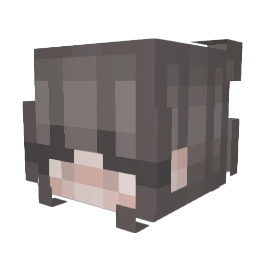 icycoffee Minecraft avatar head, 3D render