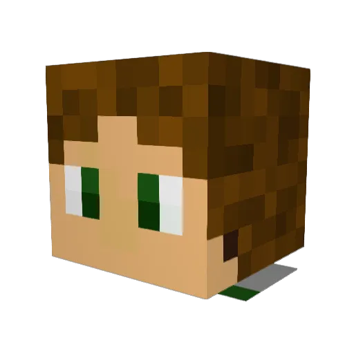 icyfreez100 Minecraft avatar head, 3D render