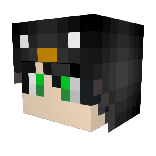 icypenguin97 Minecraft avatar head, 3D render