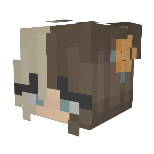 ida07 Minecraft avatar head, 3D render
