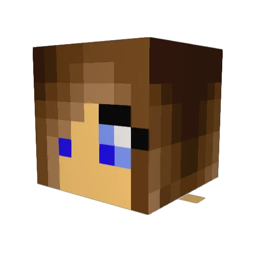 ida301002 Minecraft avatar head, 3D render