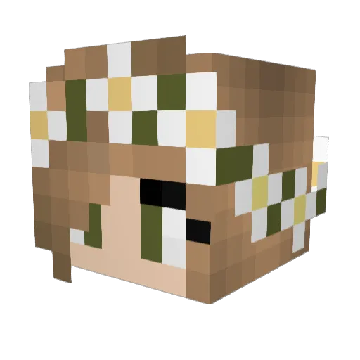 ida789 Minecraft avatar head, 3D render
