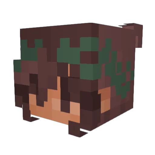 idafriis2007 Minecraft avatar head, 3D render
