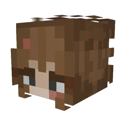 idalistic Minecraft avatar head, 3D render