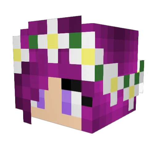 idamanda Minecraft avatar head, 3D render