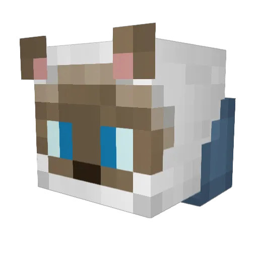 idanot21 Minecraft avatar head, 3D render