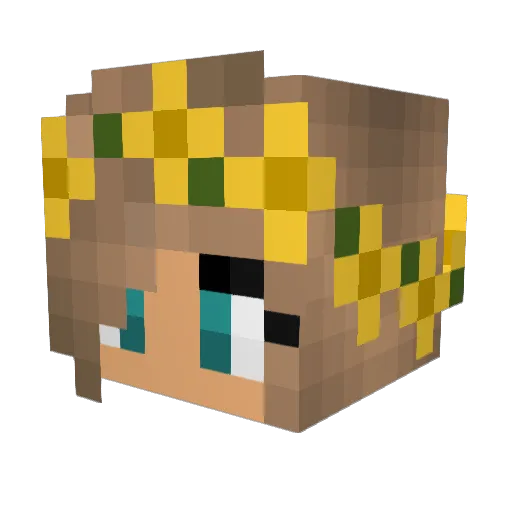 idawna Minecraft avatar head, 3D render