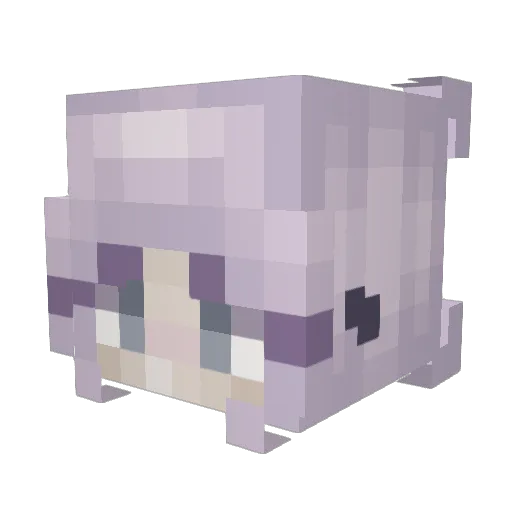 idaxvx Minecraft avatar head, 3D render
