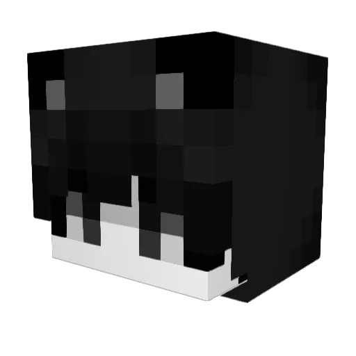 ideknowyou Minecraft avatar head, 3D render