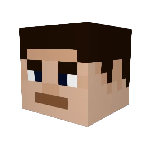 idioat Minecraft avatar head, 3D render