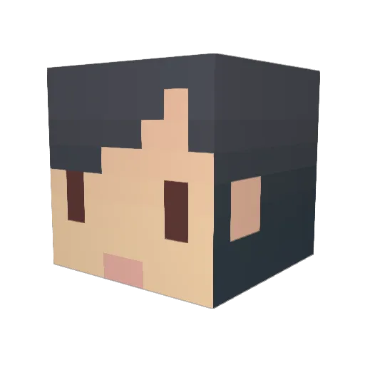 idioot Minecraft avatar head, 3D render