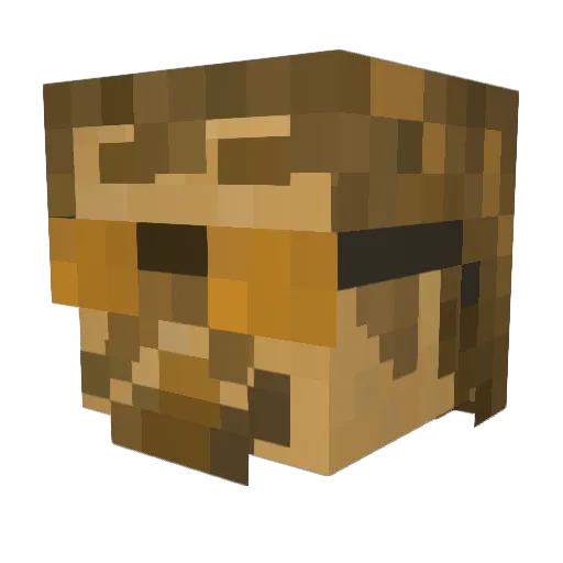 idioso Minecraft avatar head, 3D render