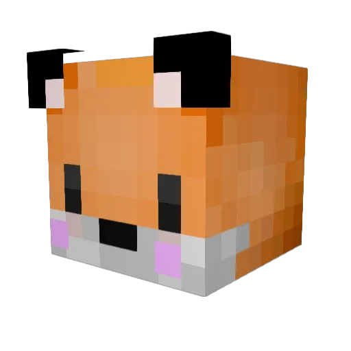 idiot_rat Minecraft avatar head, 3D render