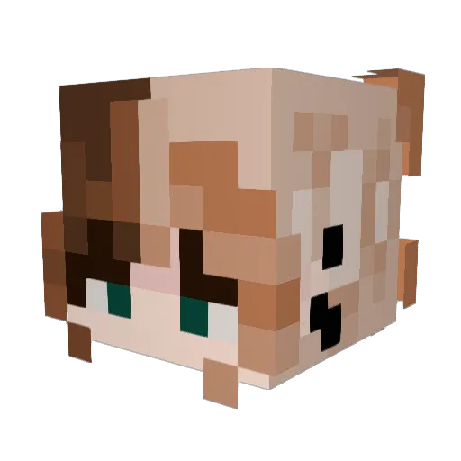 idiotinabag Minecraft avatar head, 3D render