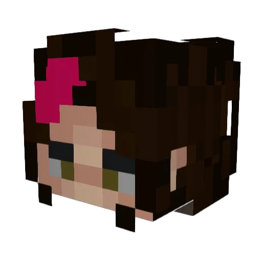 idiotisk Minecraft avatar head, 3D render