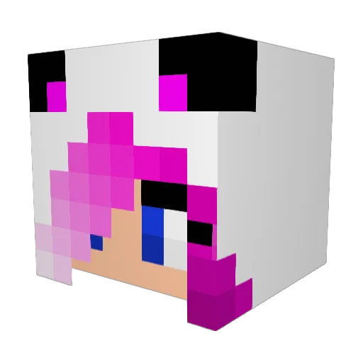 idiotqueen3 Minecraft avatar head, 3D render