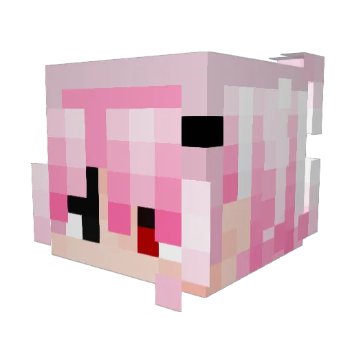 idiqq___ Minecraft avatar head, 3D render