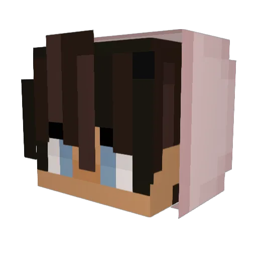 idiut Minecraft avatar head, 3D render