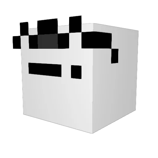 idk6296 Minecraft avatar head, 3D render