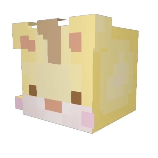 idkNick Minecraft avatar head, 3D render