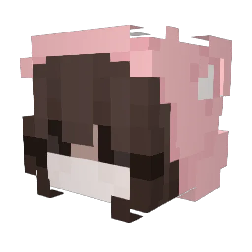 idk_kattya Minecraft avatar head, 3D render