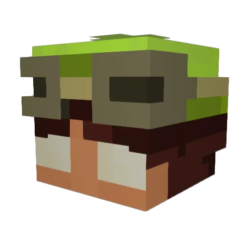 idkanymore3377 Minecraft avatar head, 3D render