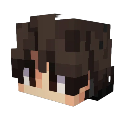 idkbroijustplay Minecraft avatar head, 3D render