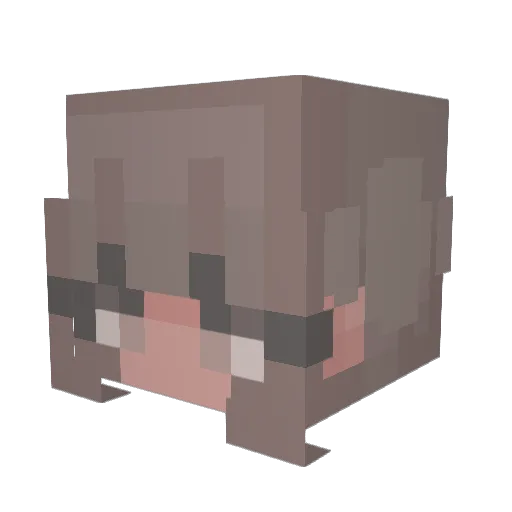 idksomething198 Minecraft avatar head, 3D render