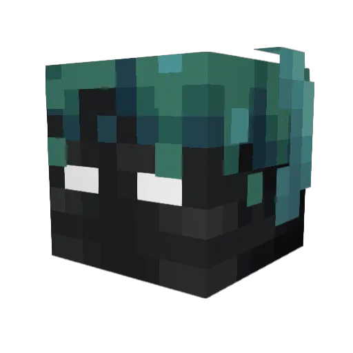 idkwatmyuseris Minecraft avatar head, 3D render