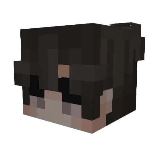 idkwellcome Minecraft avatar head, 3D render