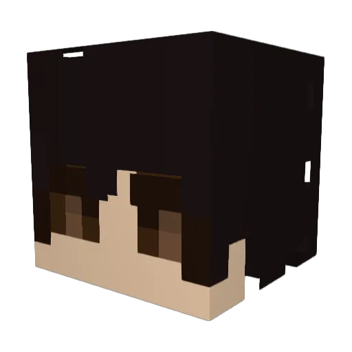idkwhyask Minecraft avatar head, 3D render