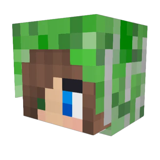 idnc Minecraft avatar head, 3D render