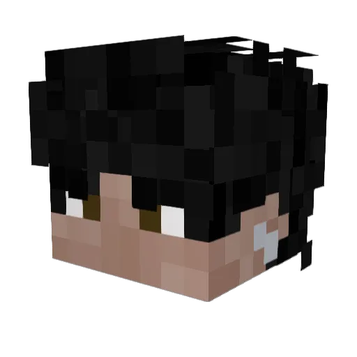 idntbleed Minecraft avatar head, 3D render