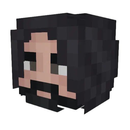 idnwannabefamous Minecraft avatar head, 3D render