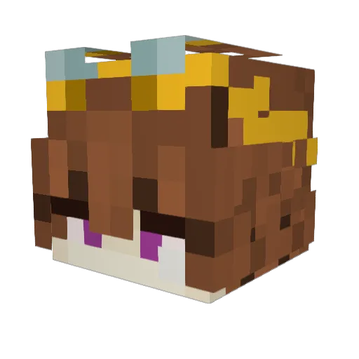 ido124 Minecraft avatar head, 3D render