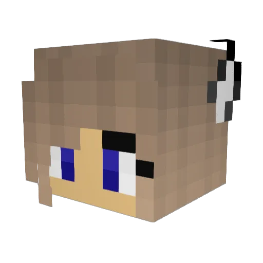 idok Minecraft avatar head, 3D render